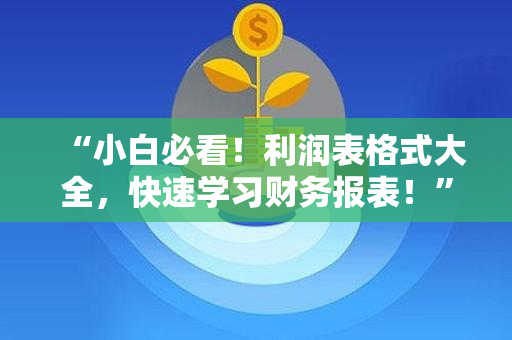 “小白必看！利润表格式大全，快速学习财务报表！”