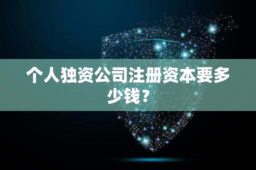 个人独资公司注册资本要多少钱？