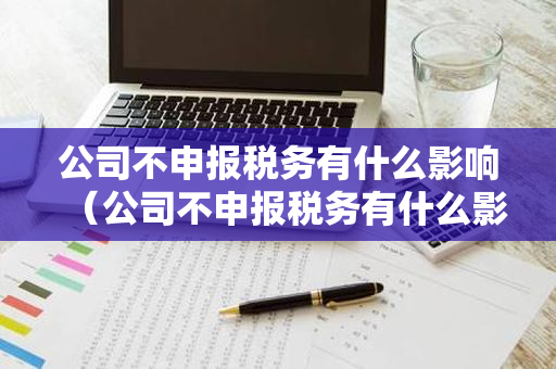 公司不申报税务有什么影响（公司不申报税务有什么影响嘛）