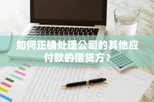 如何正确处理公司的其他应付款的借贷方？