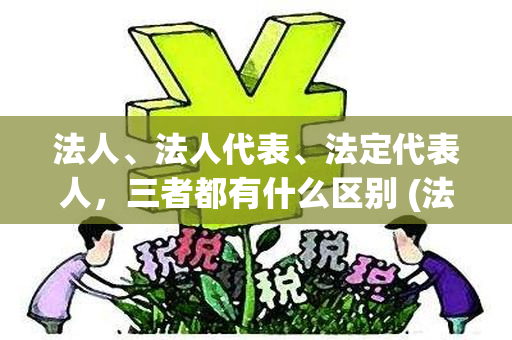 法人、法人代表、法定代表人，三者都有什么区别 (法人,法人代表,法定代表人,三者都有什么区别和联系)