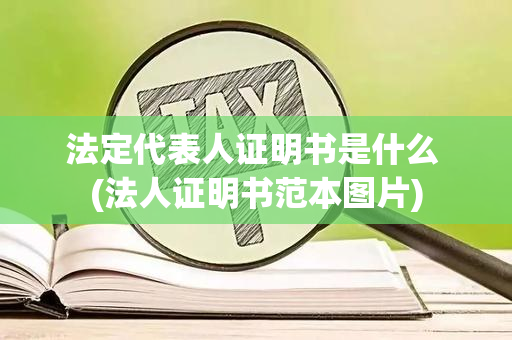 法定代表人证明书是什么 (法人证明书范本图片)