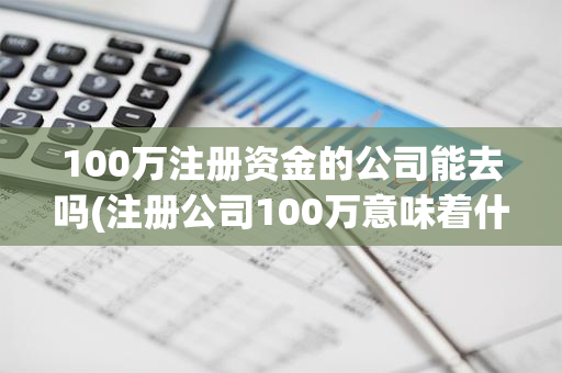 100万注册资金的公司能去吗(注册公司100万意味着什么)